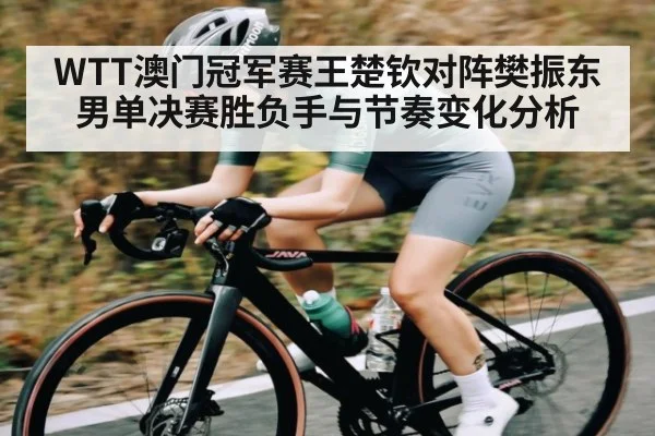 WTT澳门冠军赛王楚钦对阵樊振东男单决赛胜负手与节奏变化分析 | kaiyun